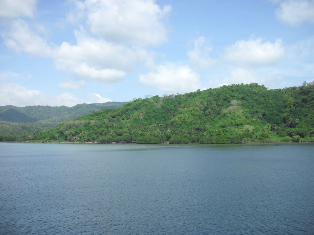 Image CIMG6951.JPG