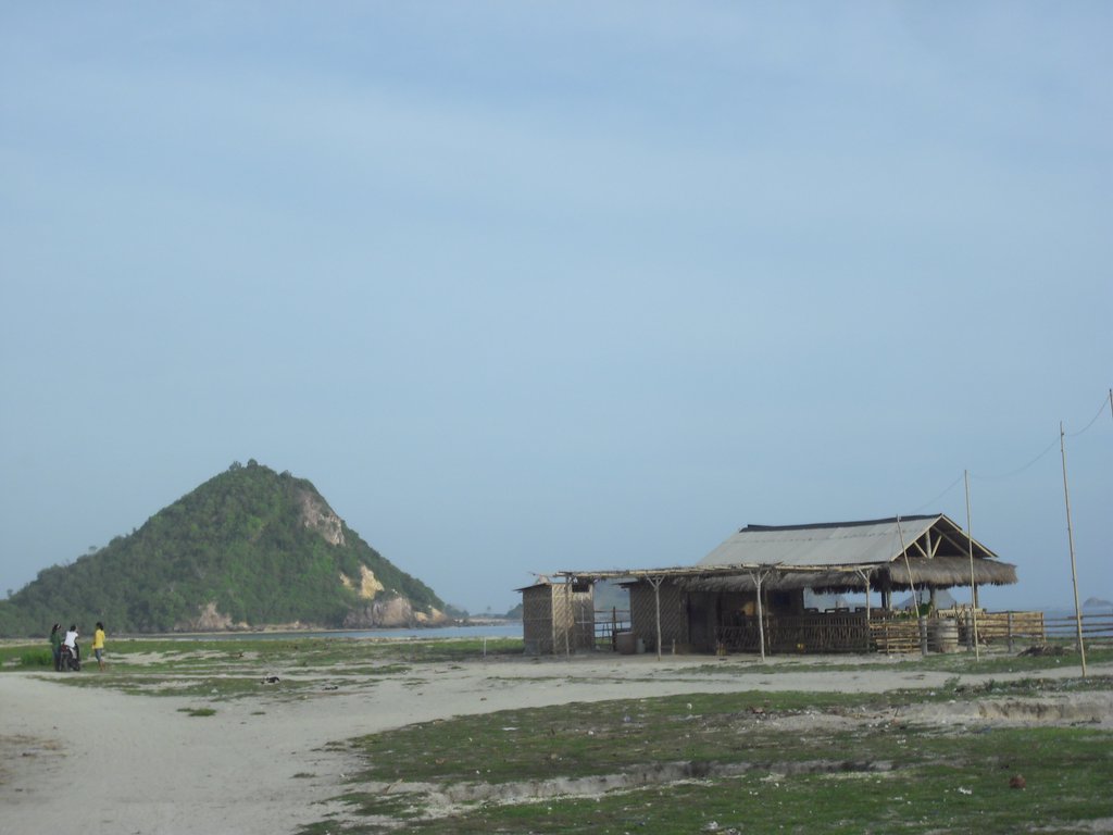 Image CIMG6956.JPG