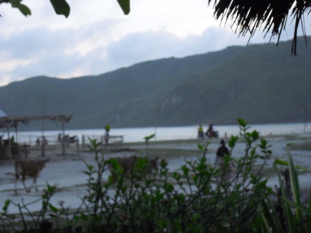 Image CIMG6960.JPG