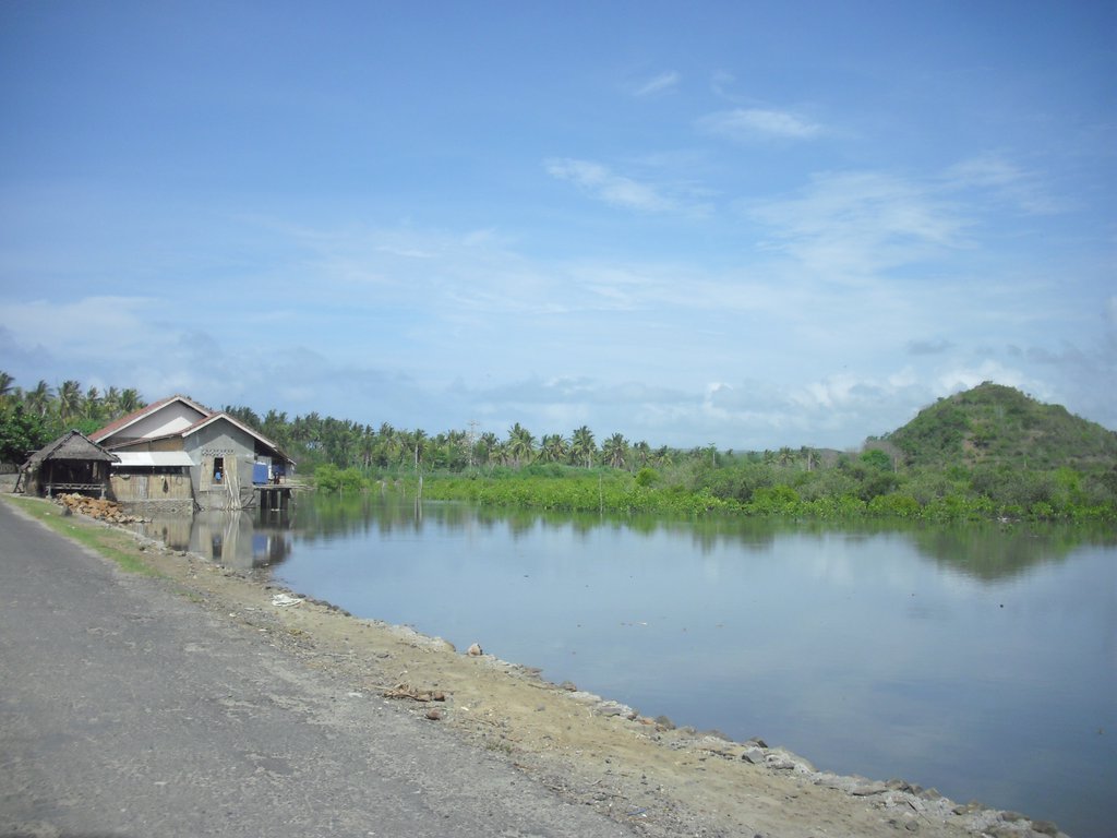Image CIMG6975.JPG