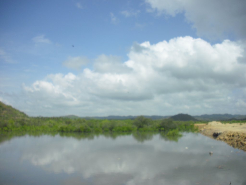 Image CIMG6976.JPG