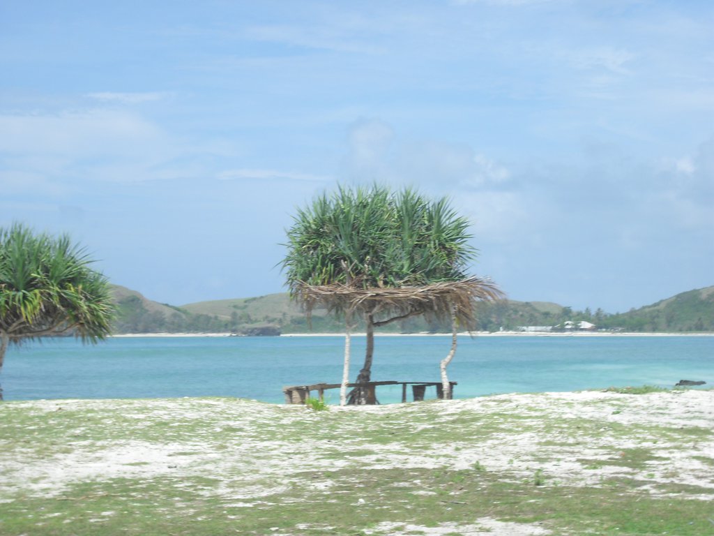 Image CIMG6977.JPG