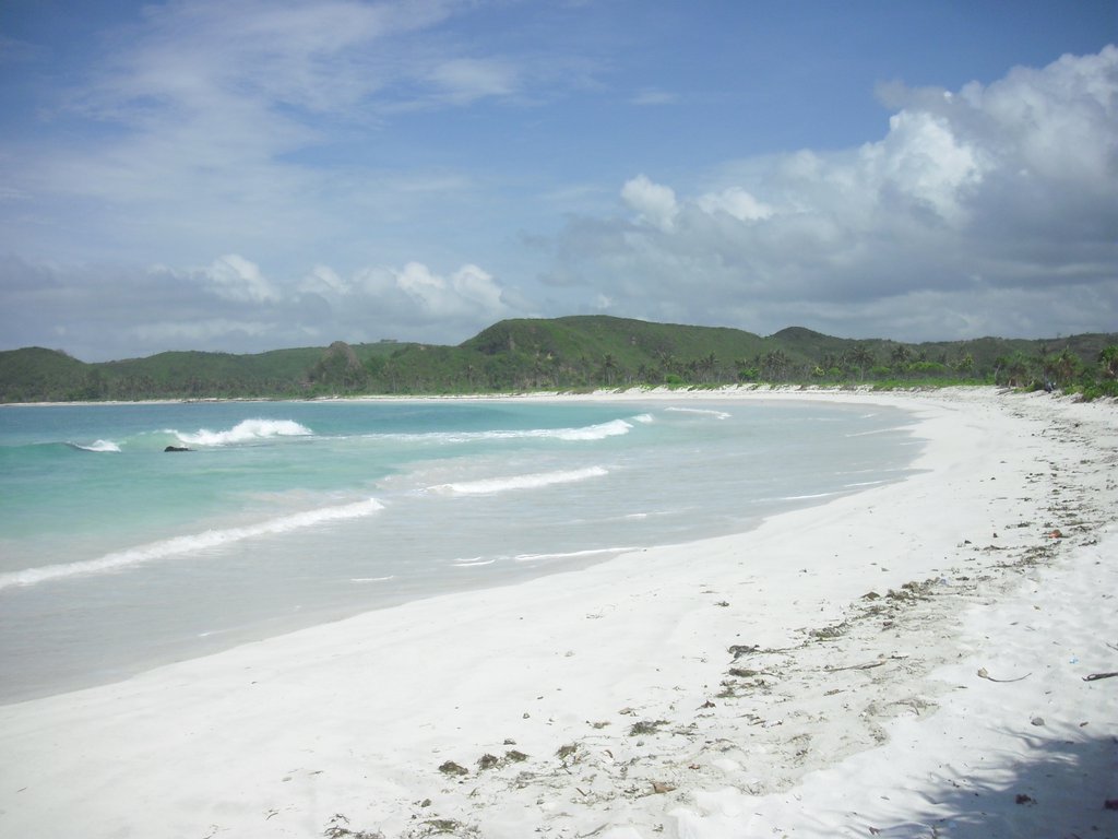 Image CIMG6981.JPG