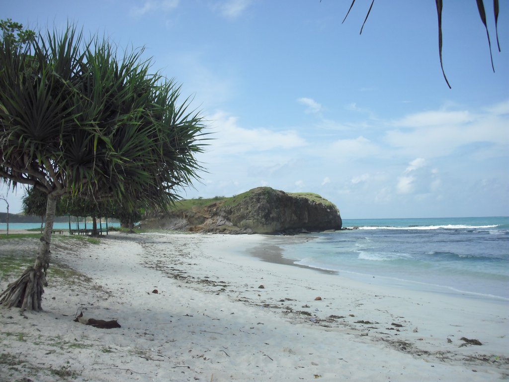 Image CIMG6983.JPG