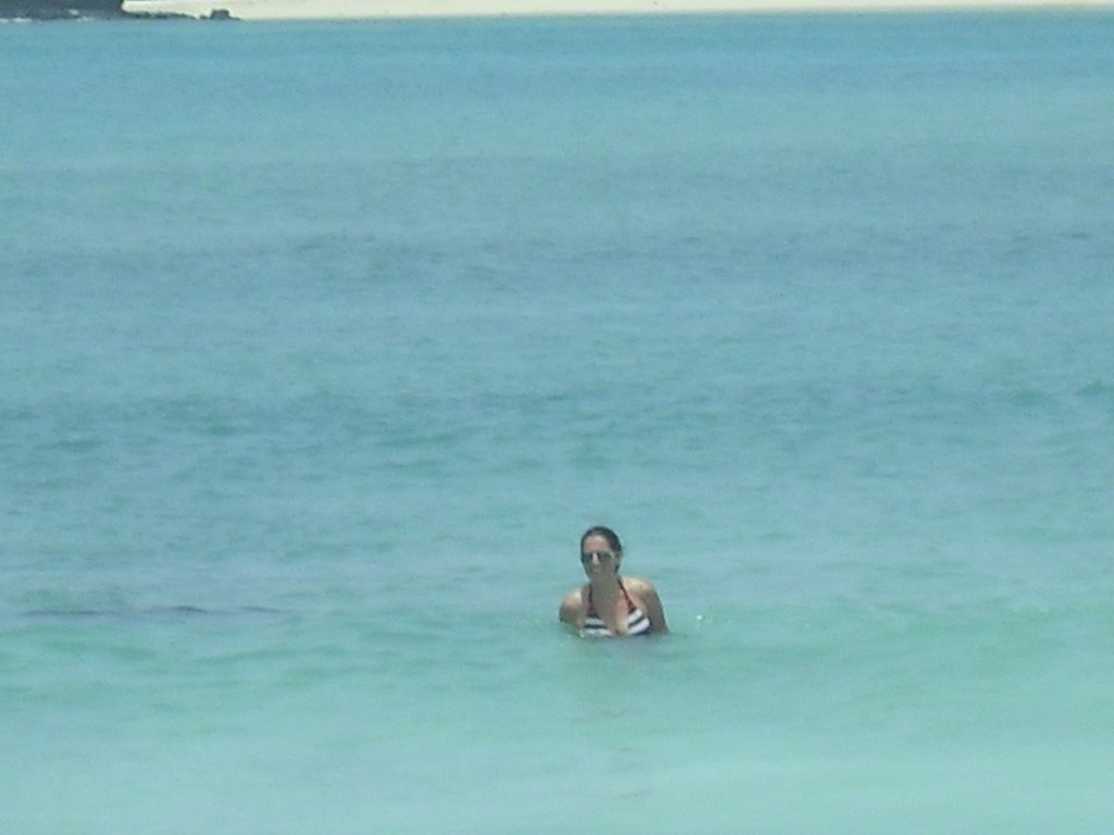 Image CIMG6988.JPG