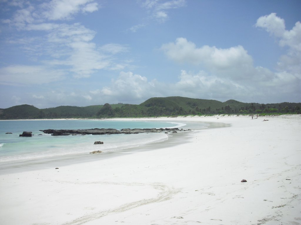 Image CIMG6993.JPG