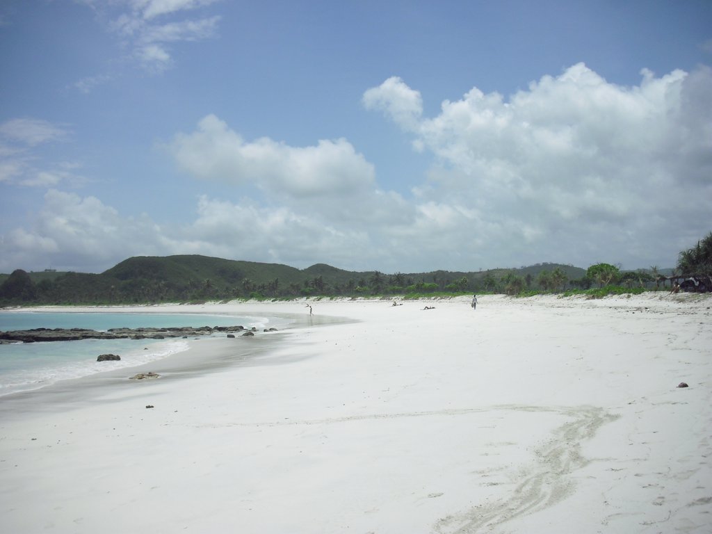 Image CIMG6996.JPG