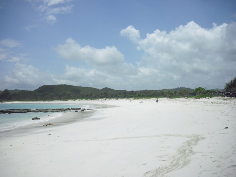 Image CIMG6996.JPG