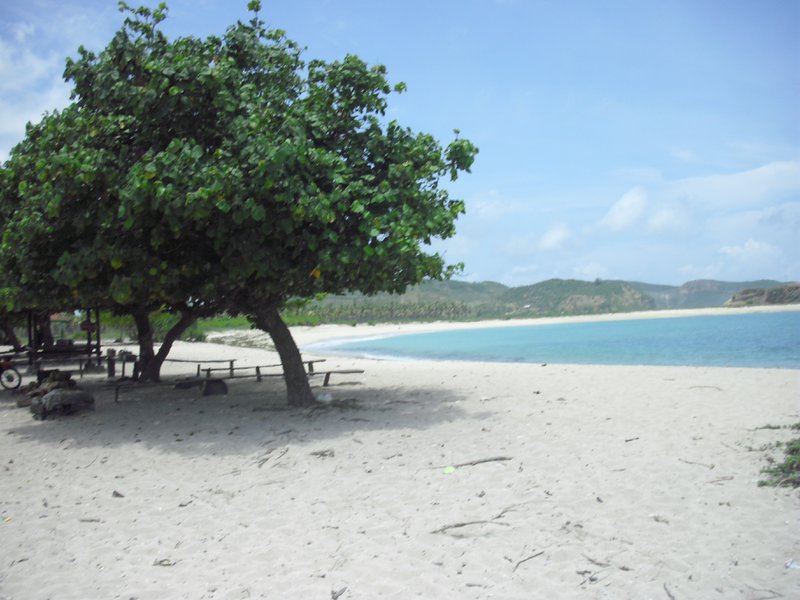 Image CIMG7001.JPG