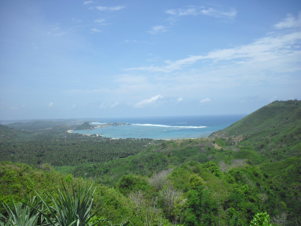 Image CIMG7003.JPG