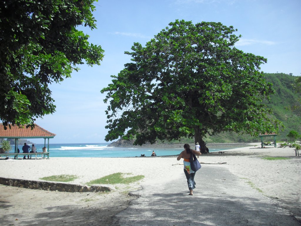 Image CIMG7007.JPG