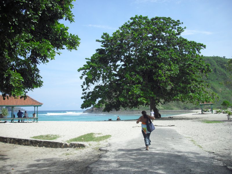 Image CIMG7007.JPG
