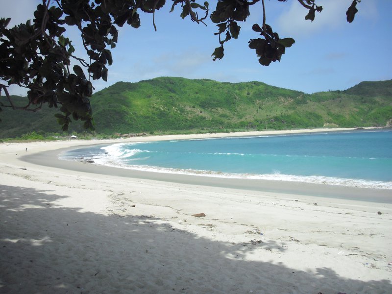Image CIMG7015.JPG