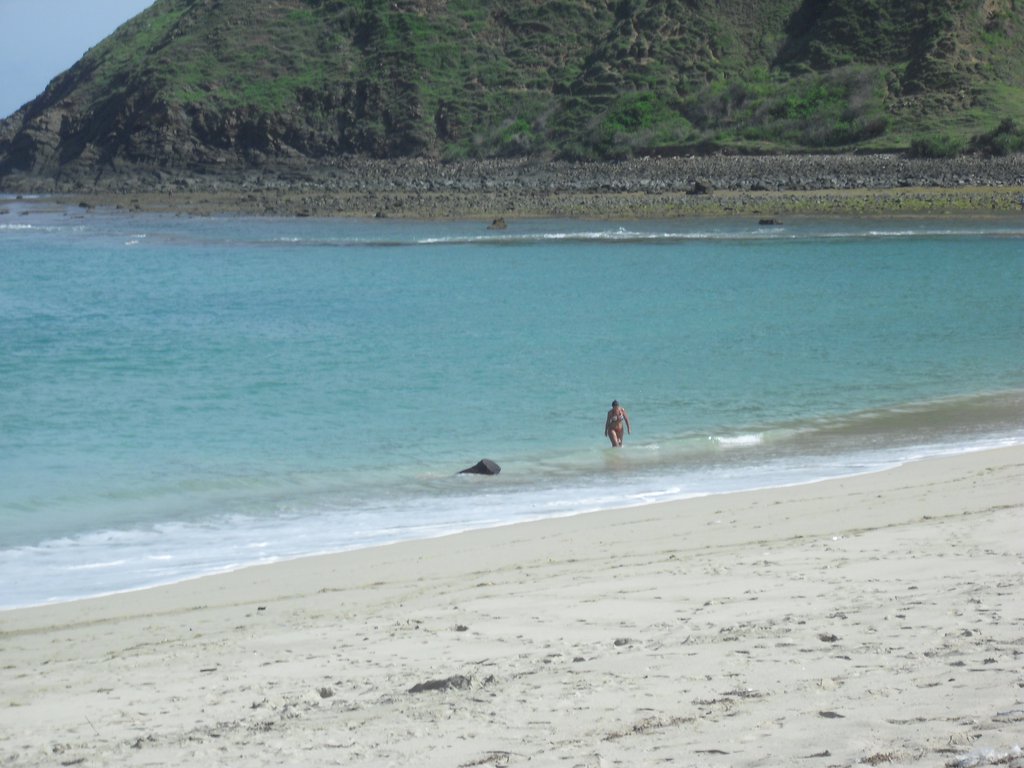 Image CIMG7019.JPG