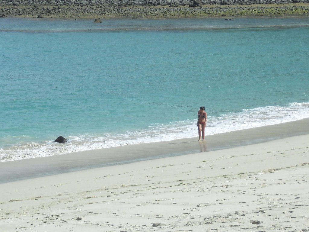 Image CIMG7020.JPG