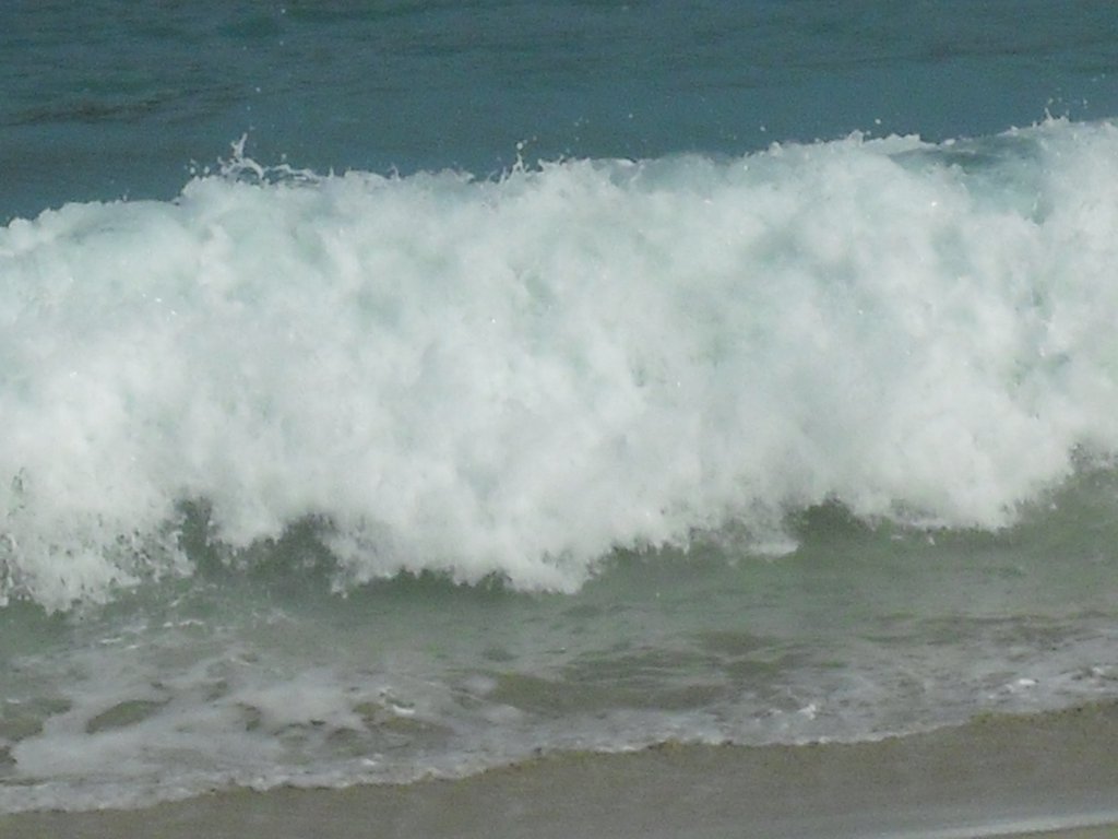 Image CIMG7037.JPG