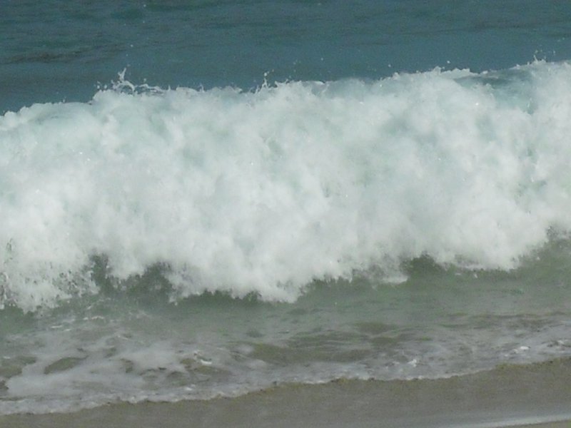 Image CIMG7037.JPG