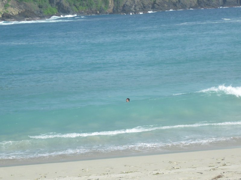 Image CIMG7040.JPG