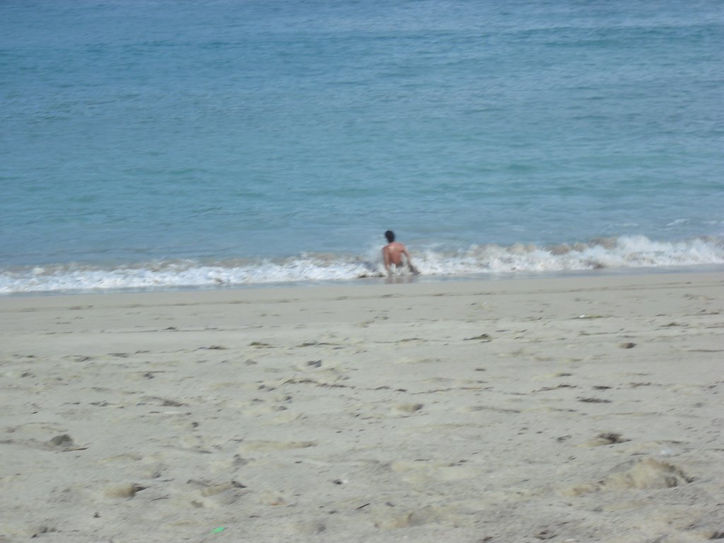 Image CIMG7041.JPG