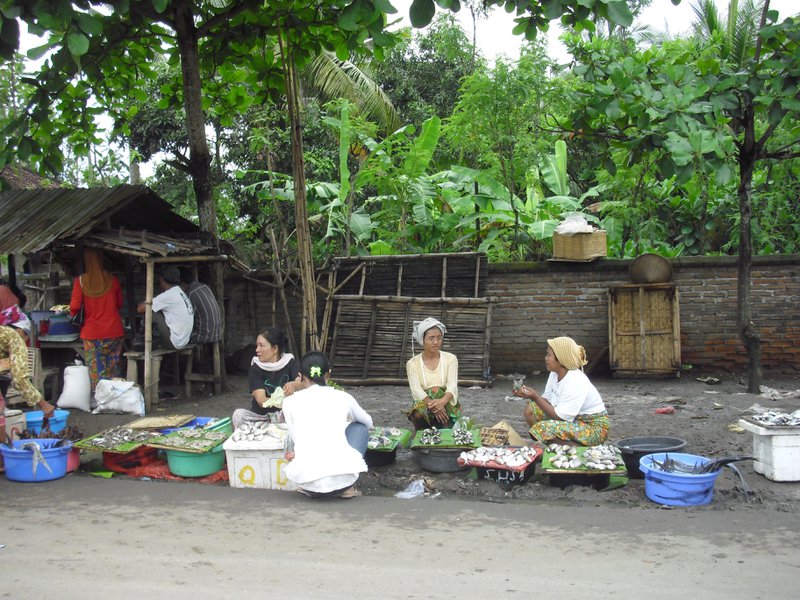 Image CIMG7048.JPG