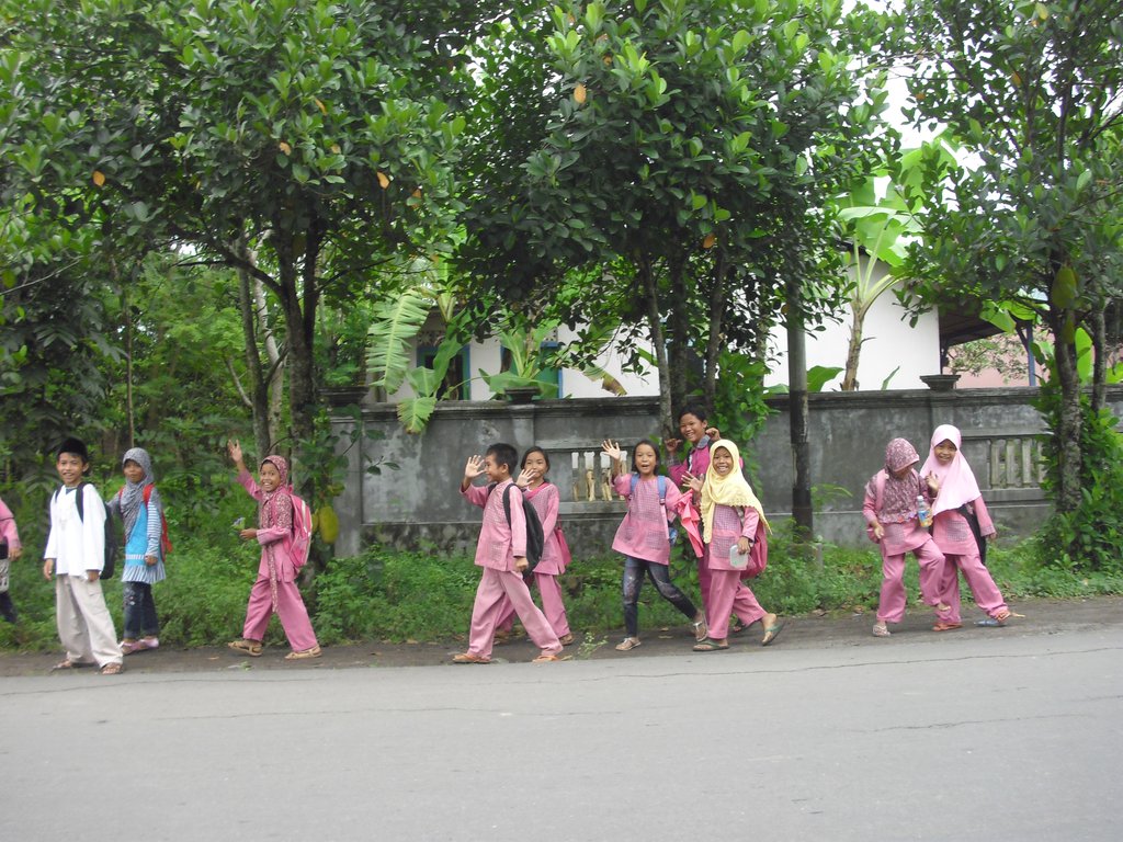 Image CIMG7055.JPG