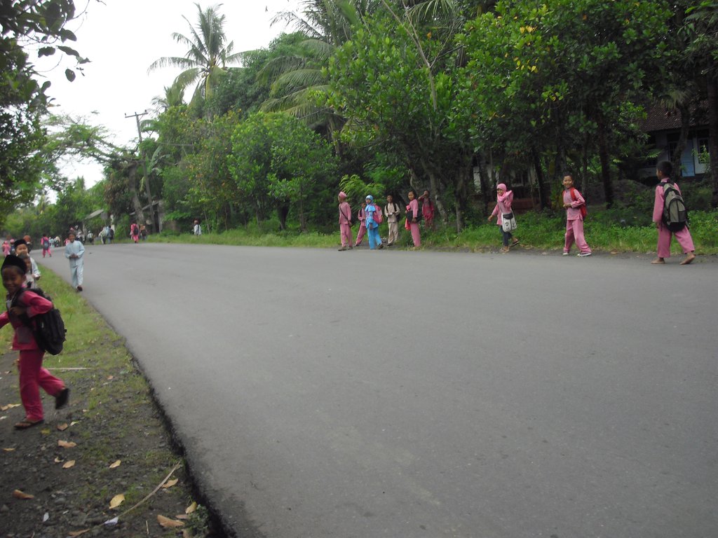 Image CIMG7056.JPG