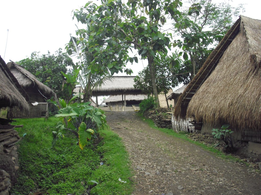 Image CIMG7068.JPG