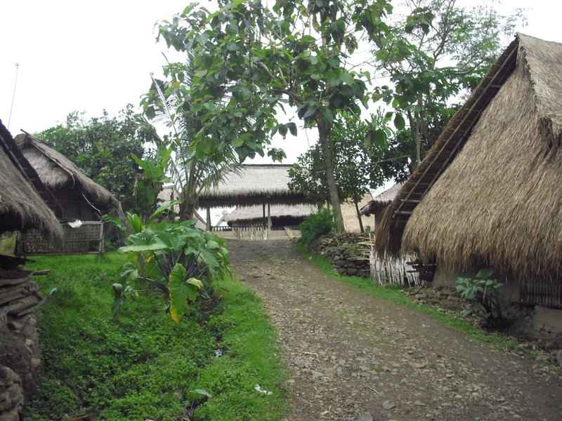 Image CIMG7068.JPG