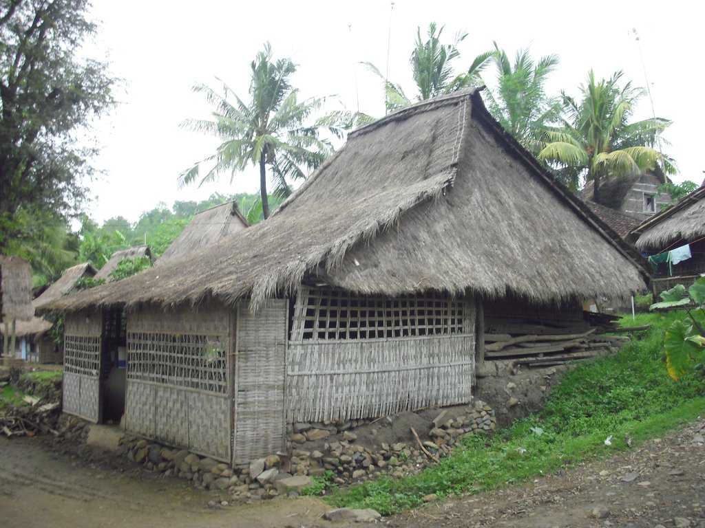 Image CIMG7069.JPG