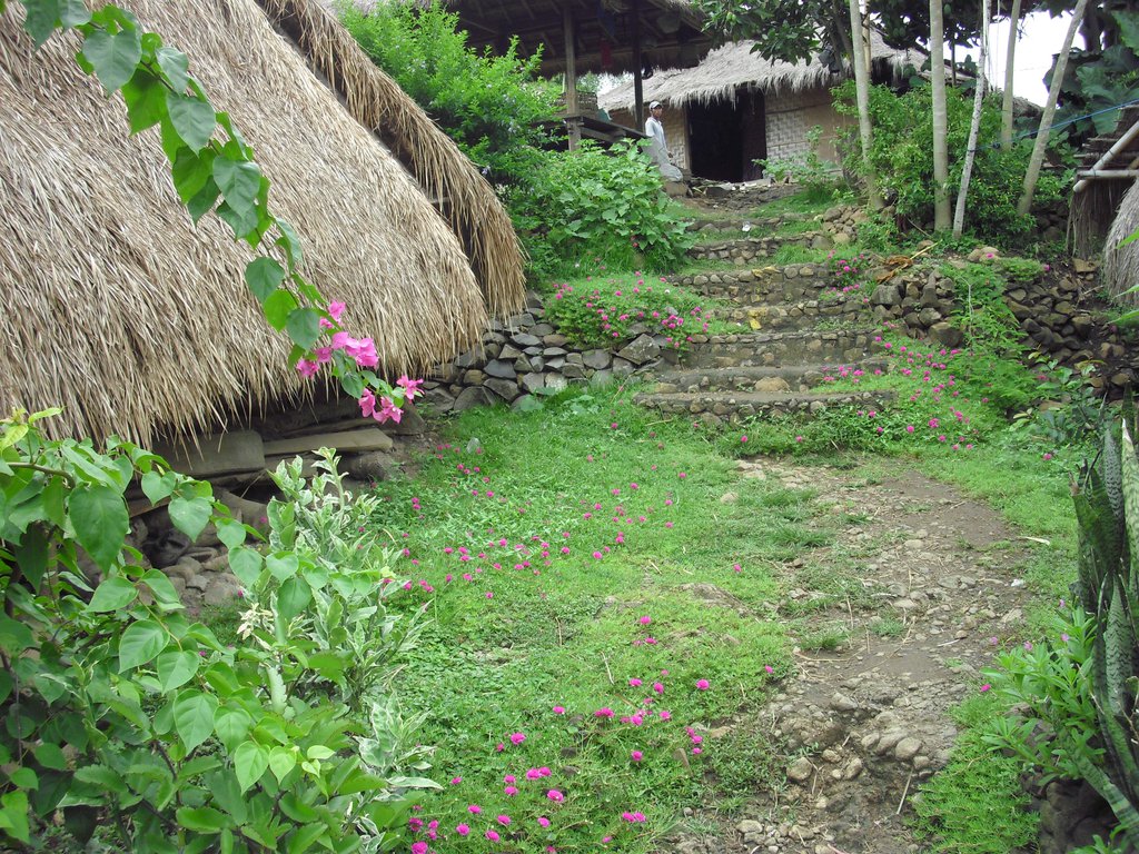 Image CIMG7070.JPG