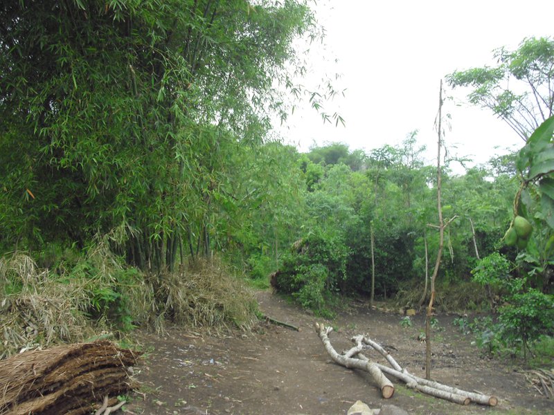 Image CIMG7074.JPG