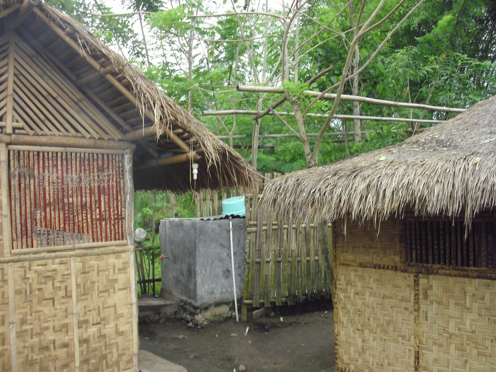Image CIMG7078.JPG