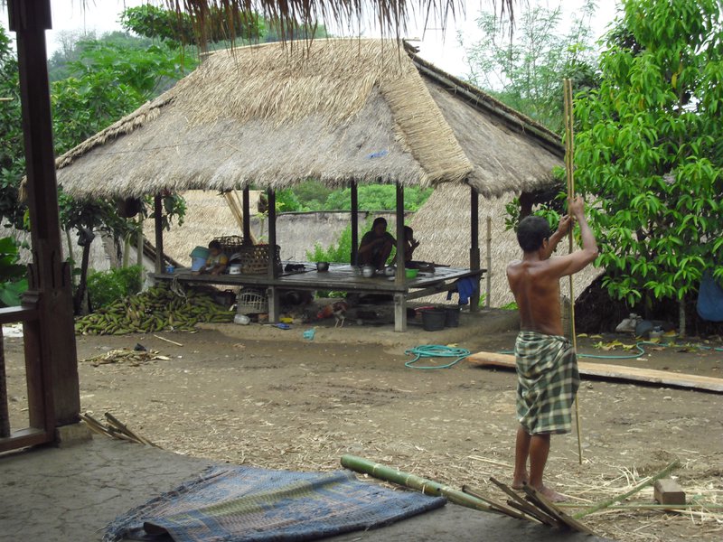 Image CIMG7081.JPG