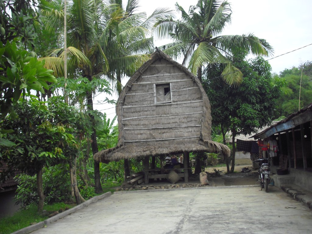 Image CIMG7086.JPG