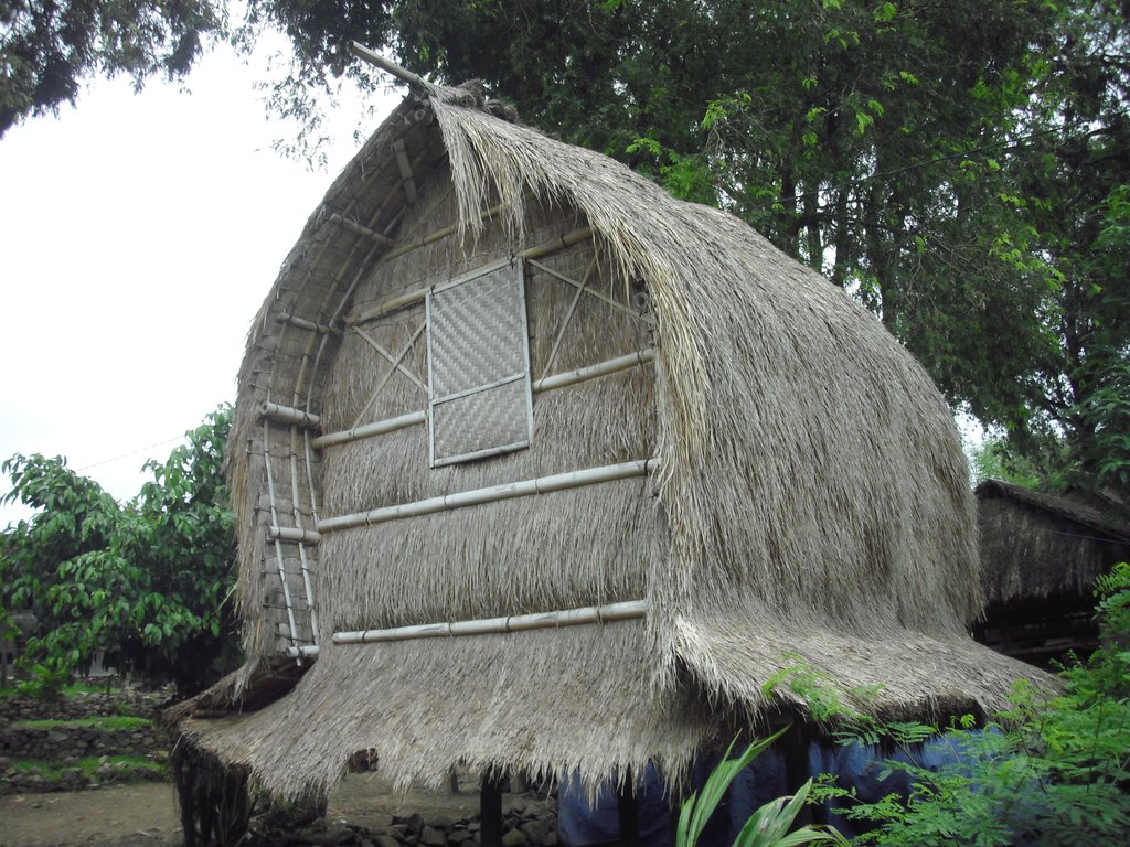 Image CIMG7089.JPG