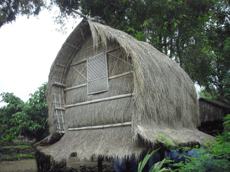 Image CIMG7089.JPG