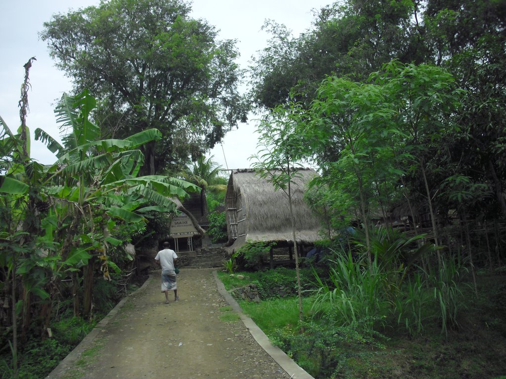Image CIMG7090.JPG