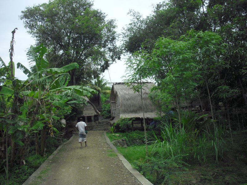 Image CIMG7090.JPG