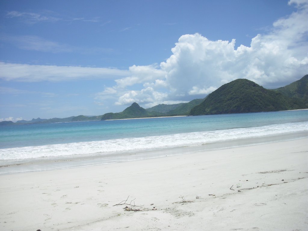Image CIMG7145.JPG