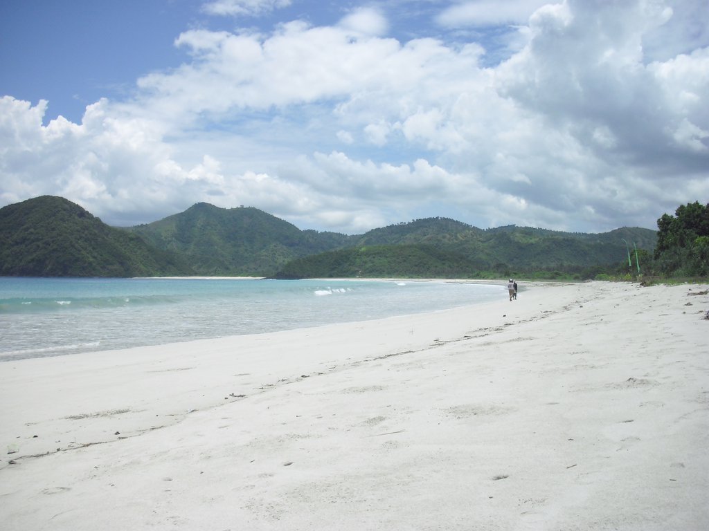 Image CIMG7146.JPG