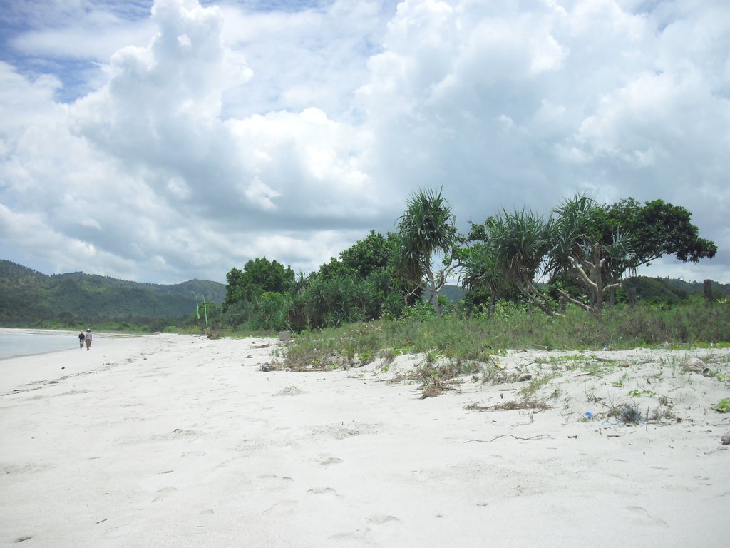Image CIMG7147.JPG