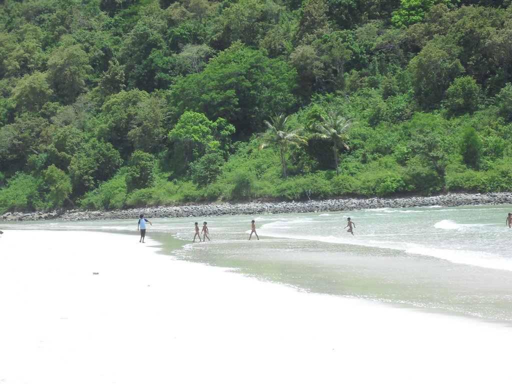 Image CIMG7157.JPG