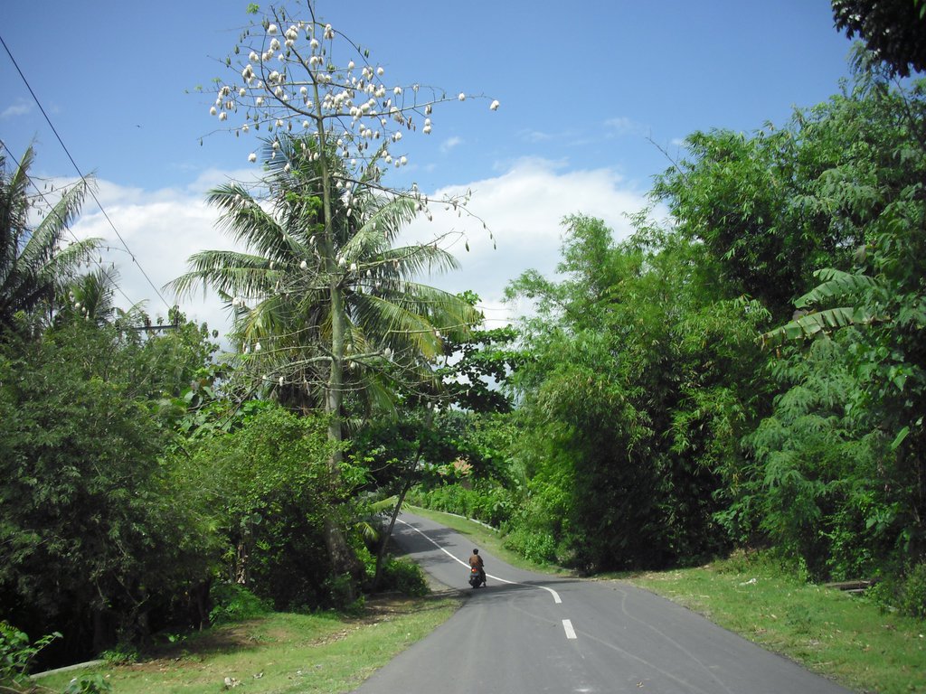 Image CIMG7174.JPG