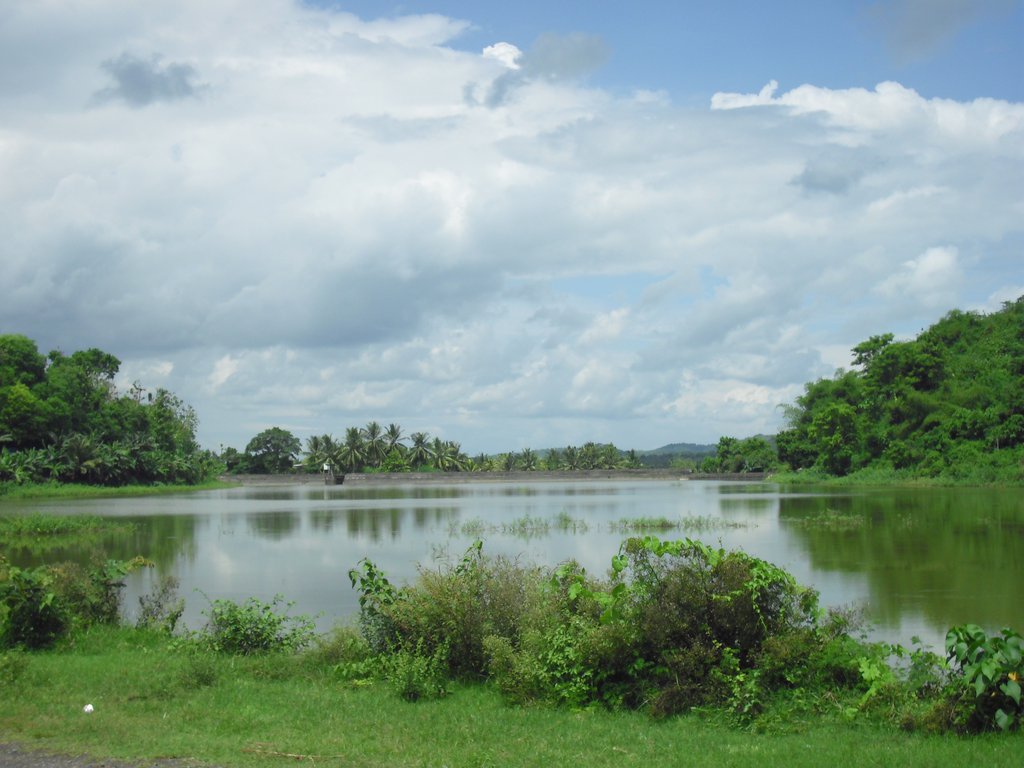 Image CIMG7175.JPG