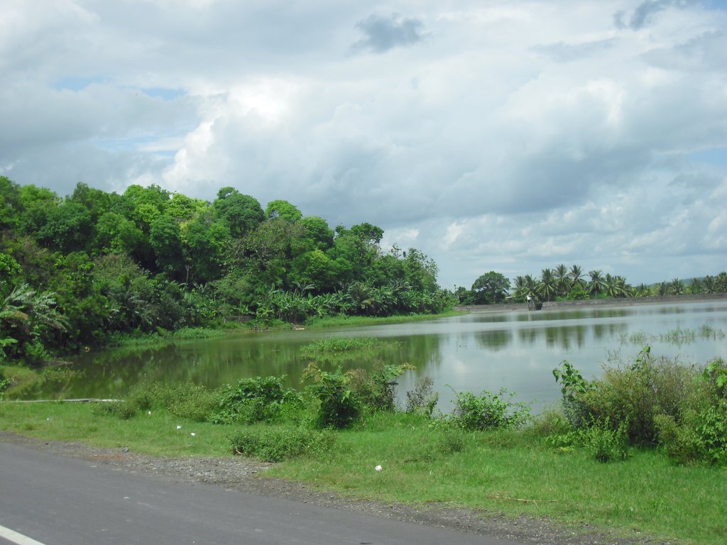 Image CIMG7176.JPG