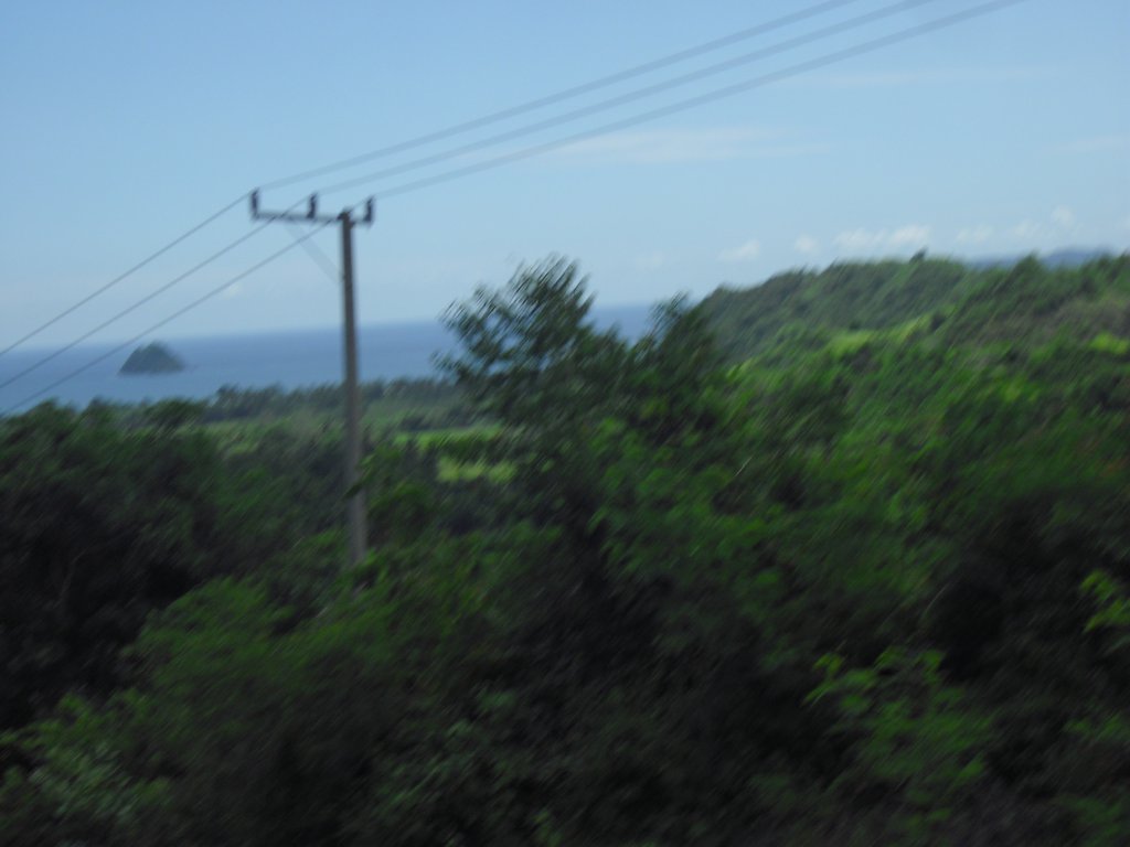 Image CIMG7179.JPG