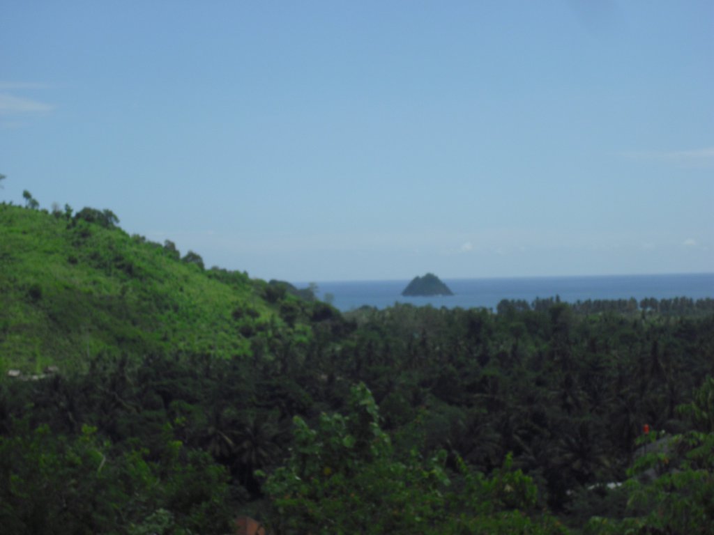 Image CIMG7181.JPG