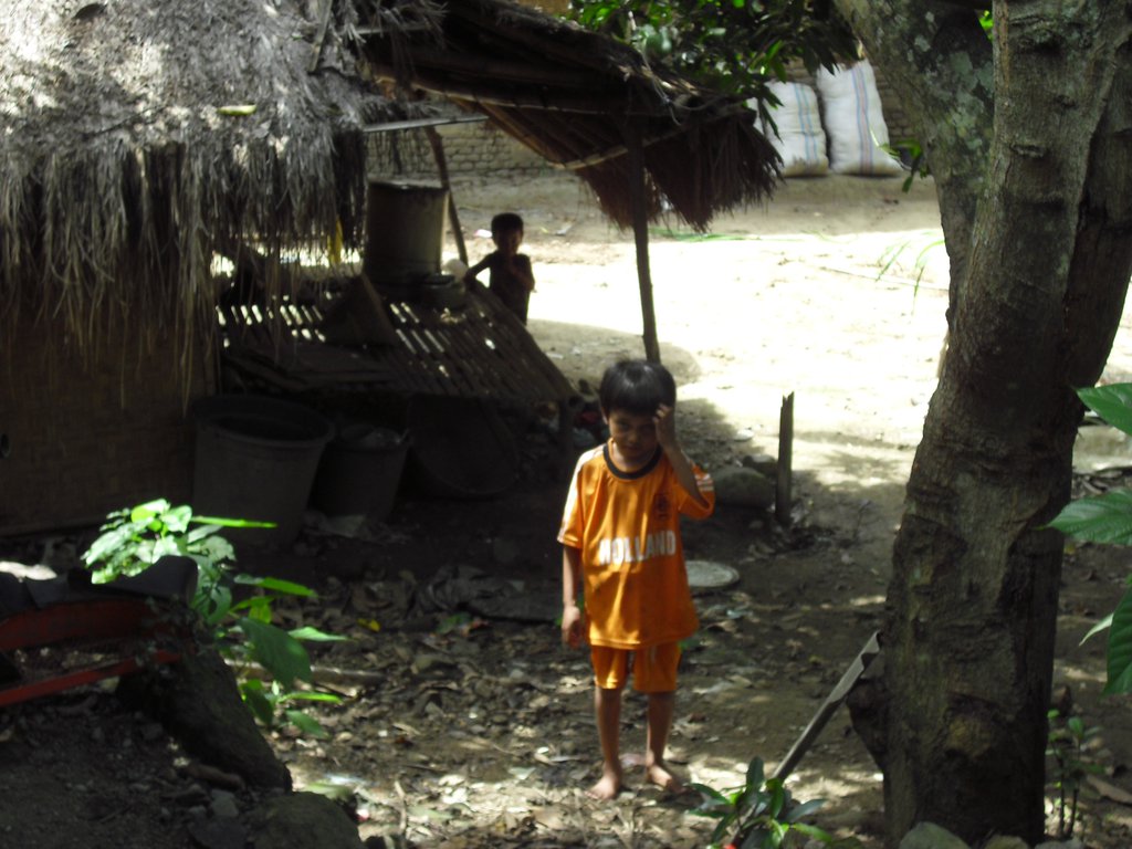 Image CIMG7186.JPG