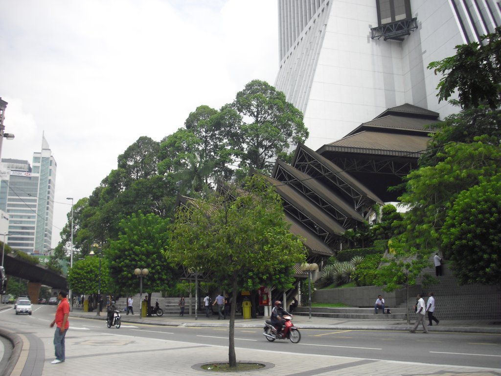 Image CIMG4848.JPG