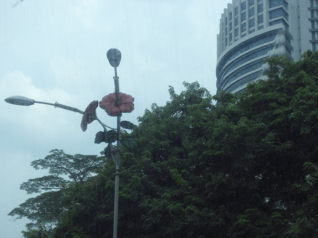 Image CIMG4858.JPG
